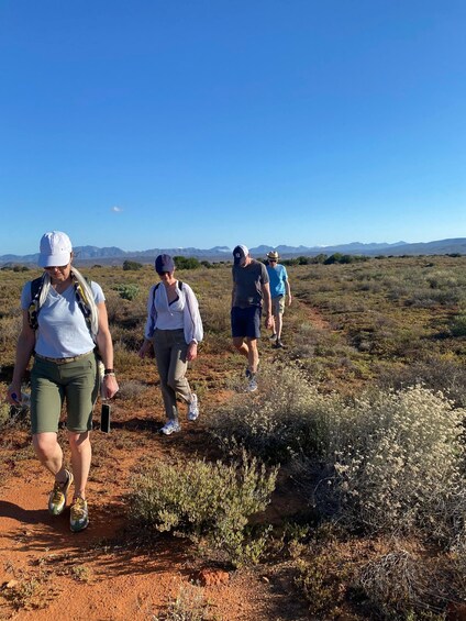 A group of hikers on a dirt trail in a desert landscape with sparse vegetation and distant mountains. 3