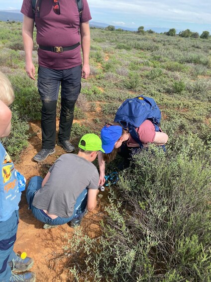 Picture 7 for Activity Oudtshoorn - Nature Walk with a Picnic 5