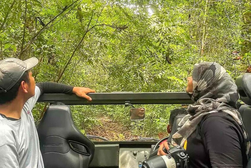 Deux personnes se trouvent à l'intérieur d'un véhicule, d'où l'on peut admirer un paysage luxuriant, dominé par un feuillage verdoyant. 5