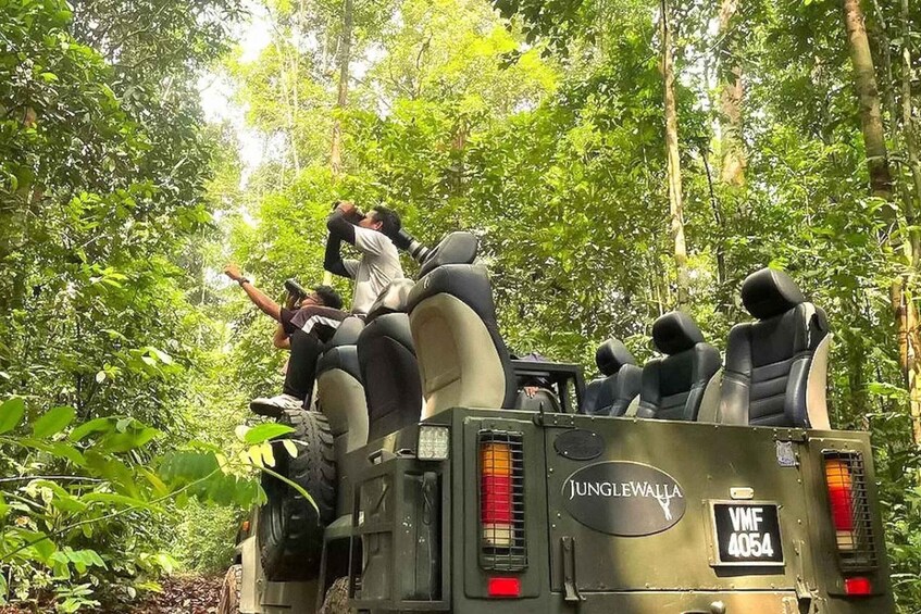 Un véhicule JungleWalla avec des personnes debout à l’arrière, entouré d’une forêt dense. 1