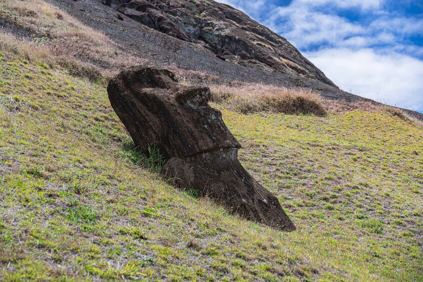 A large tree trunk on a grassy hillside with a rocky background and a partly cloudy sky. 2