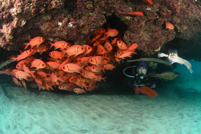 Picture 4 for Activity Santa Maria: Guided Snorkeling and Reef Tour 5