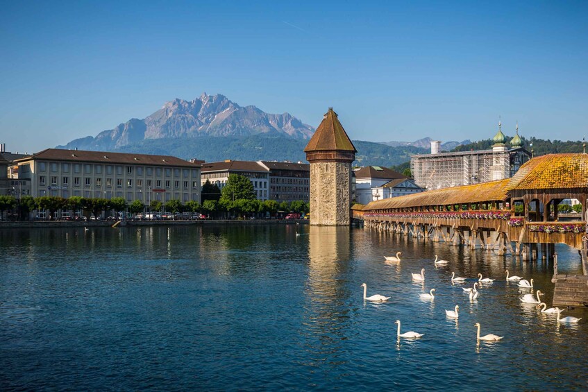 A lake with swans, a tower, and buildings with mountains in the background. 1