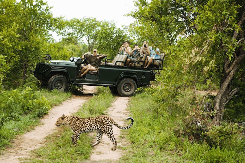 Picture 8 for Activity 3 Days Ranthambore Wildlife Adventure Tour from Delhi 2