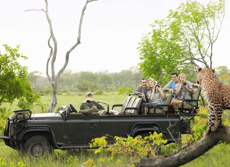 Picture 5 for Activity 3 Days Ranthambore Wildlife Adventure Tour from Delhi 5