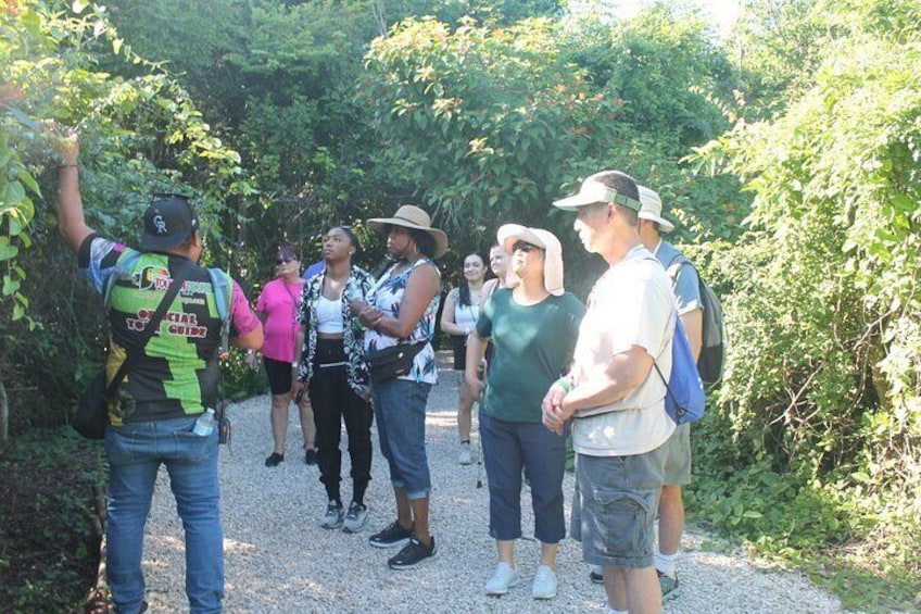 Un groupe de personnes se trouve sur un chemin de gravier, entouré de verdure. 1