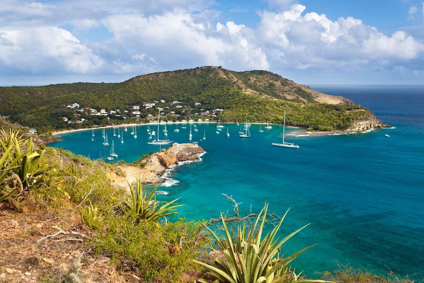 Picture 1 for Activity Antigua: Scenic Full Day Tour of Antigua from Saint John's 1