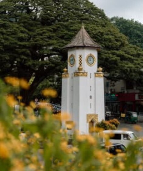 A white tower with a clock, surrounded by trees and yellow flowers. 4