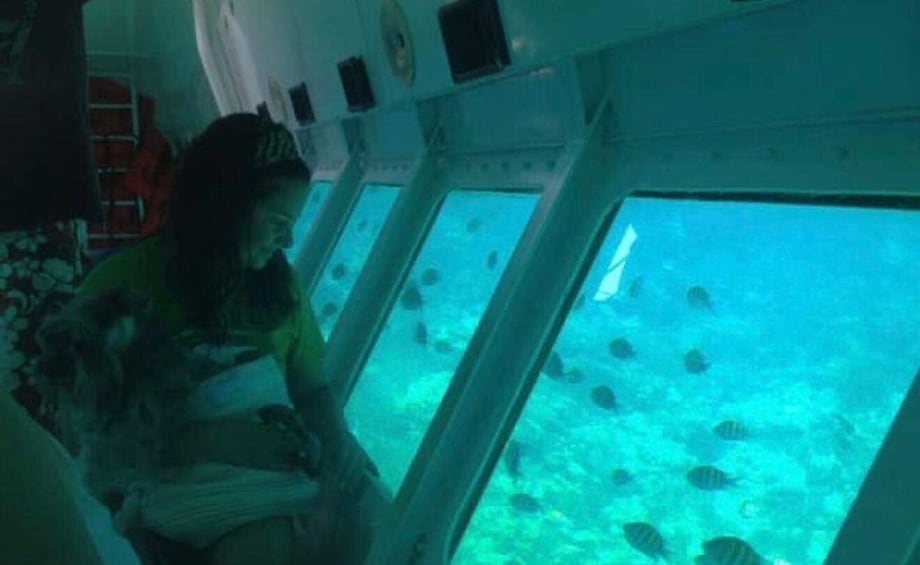 A person inside a submarine looking at fish through the window. 4