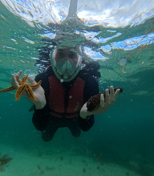 A person scuba diving underwater, holding a starfish and a piece of coral. 4