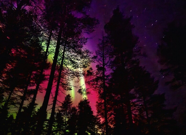 Picture 27 for Activity Kemi-Tornio: Starguaranteed Northern Lights Auroras 2
