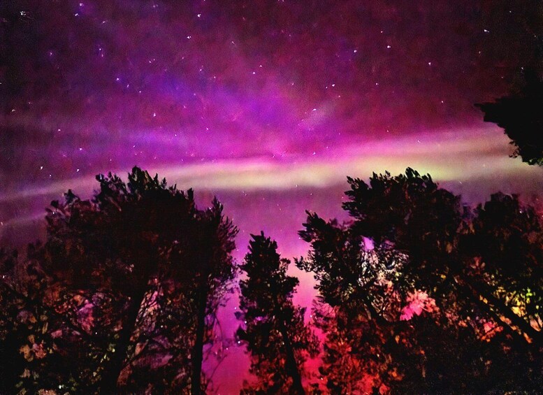 Picture 2 for Activity Kemi-Tornio: Starguaranteed Northern Lights Auroras 3
