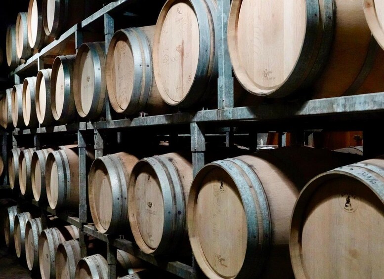Picture 5 for Activity From Milan: Small-Group Barolo Wine Tasting in the Langhe 3