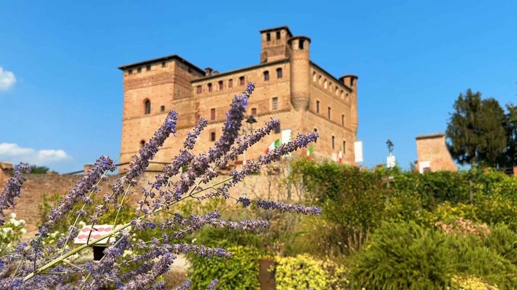 Picture 2 for Activity From Milan: Small-Group Barolo Wine Tasting in the Langhe 5