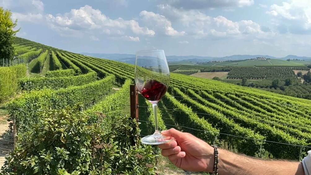 Picture 7 for Activity From Milan: Small-Group Barolo Wine Tasting in the Langhe 4