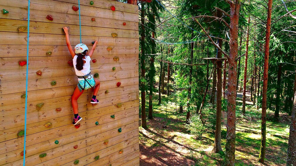 A person climbing a wooden wall with colorful holds in a forested area. 5