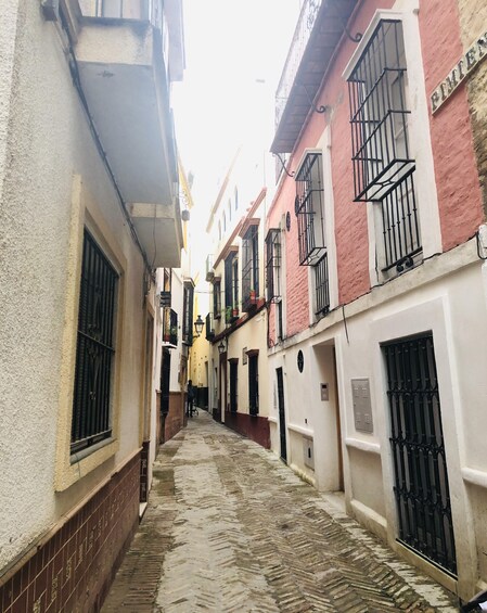 A narrow cobblestone alley flanked by buildings with barred windows and doors. 2