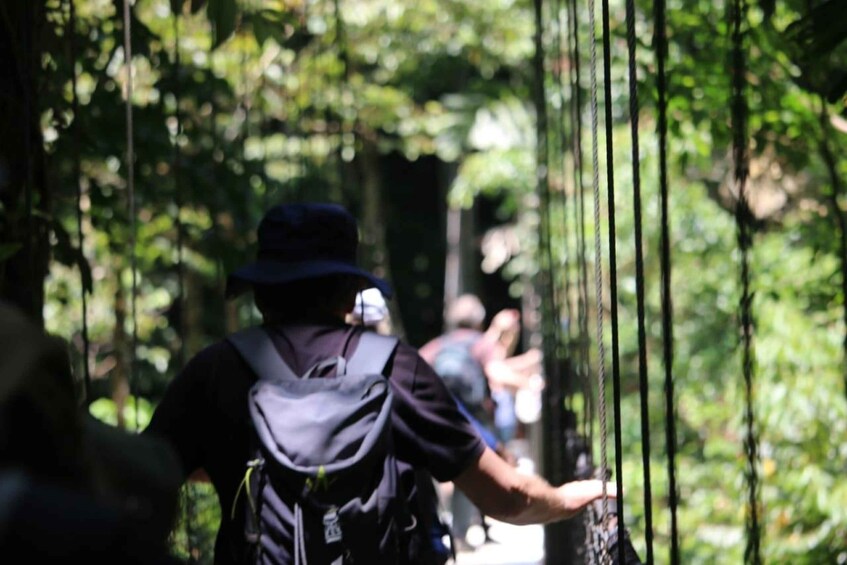 A person wearing a hat and carrying a backpack, walking on a suspension bridge surrounded by greenery. 4