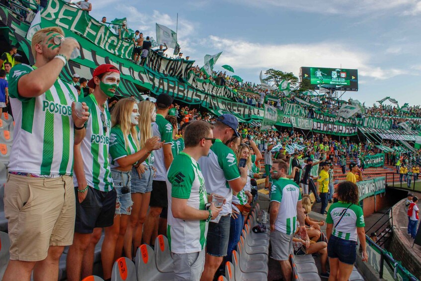 A crowded stadium with fans wearing green and white striped jerseys, cheering and holding banners. 4