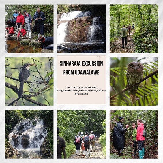 A waterfall, a bird, and people hiking in a forest. 1