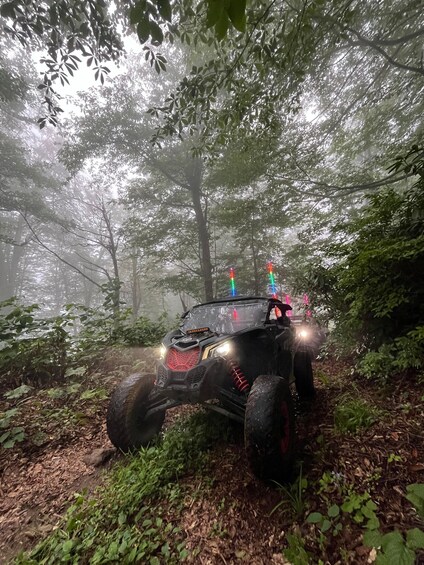 Picture 1 for Activity Batumi: Mtirala ATV, Buggy Maverick & Horse Riding Adventure 2