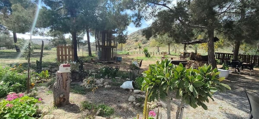 A garden with trees, a wooden structure, and a seating area. 2