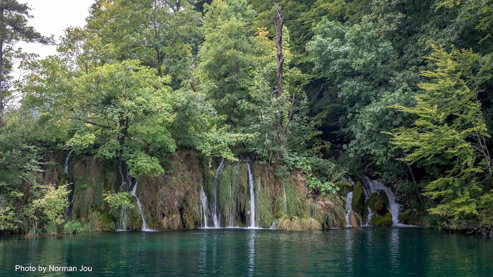 A serene forested area with a calm river, waterfalls, and dense greenery. 5