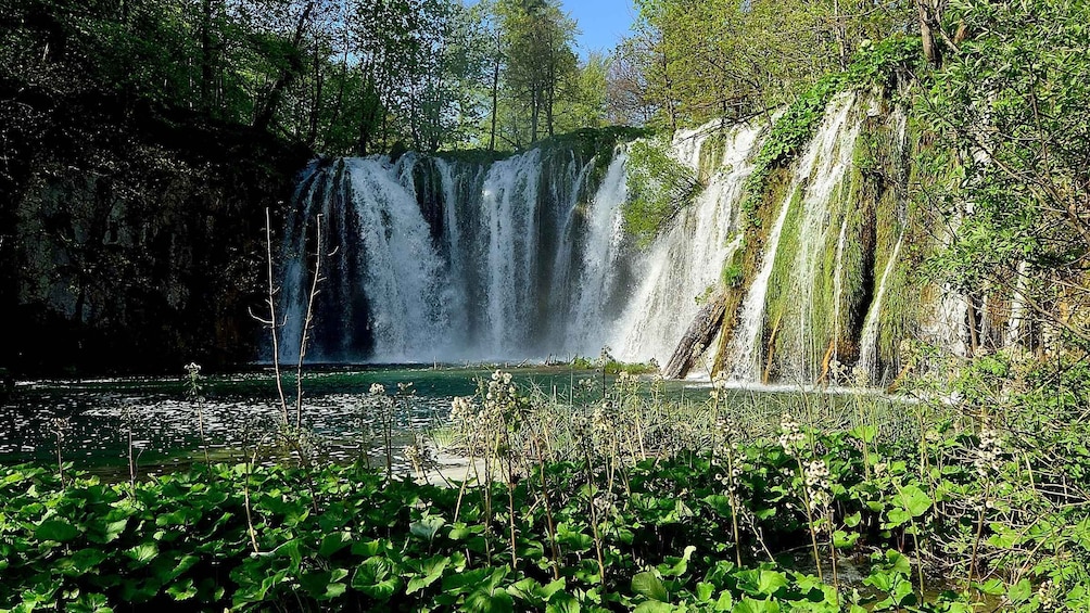 A waterfall surrounded by lush greenery and a calm pond. 1