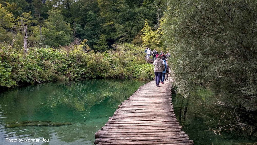 A wooden boardwalk over a river surrounded by dense greenery. 4