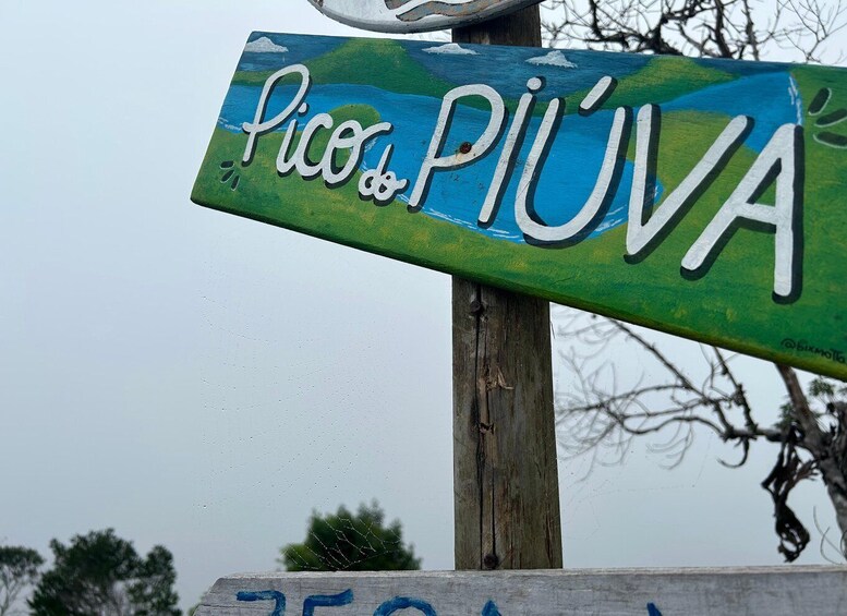 A painted street sign with 'Picos de Europa' written on it. 3