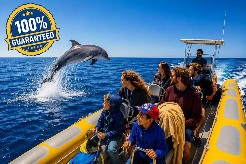 Can Picafort: Dolphin Watching Boat Tour, Swimming stop 1