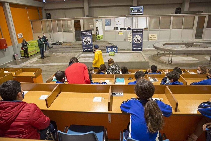 A lecture hall with students seated at desks. A person in a yellow raincoat is standing at the front. 5