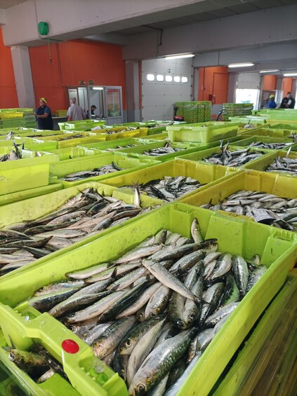Picture 2 for Activity Visit to Seafearing Santoña with Anchovy Tasting 2