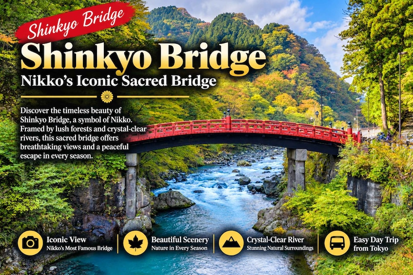 Picture 2 for Activity Tokyo: Nikko Toshogu Shrine and Kegon Waterfall Tour 5