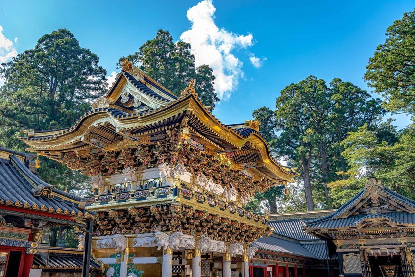 Tokyo: Nikko Toshogu Shrine and Kegon Waterfall Tour 1