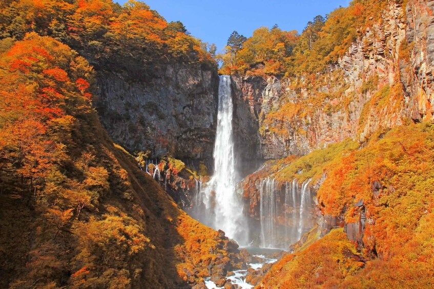 Picture 3 for Activity Tokyo: Nikko Toshogu Shrine and Kegon Waterfall Tour 5