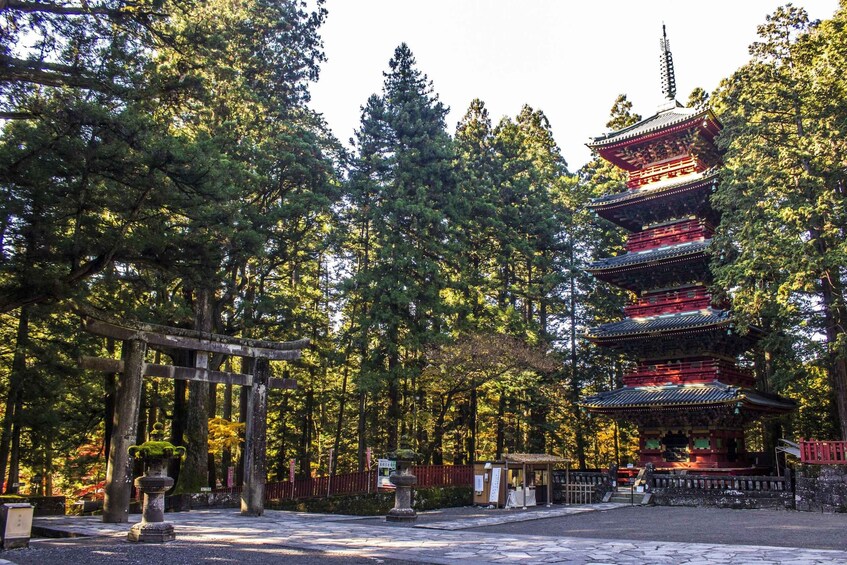 Picture 6 for Activity Tokyo: Nikko Toshogu Shrine and Kegon Waterfall Tour 2