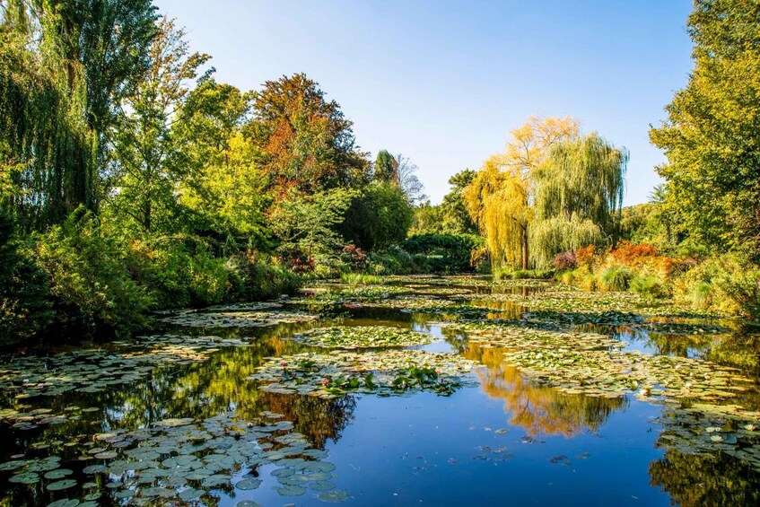 Un étang paisible, entouré d’une végétation luxuriante et d’arbres aux feuilles d’automne. 4
