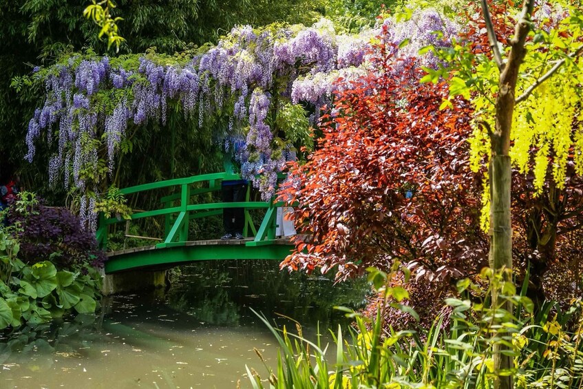 A green bridge over a pond with purple and red foliage. 3