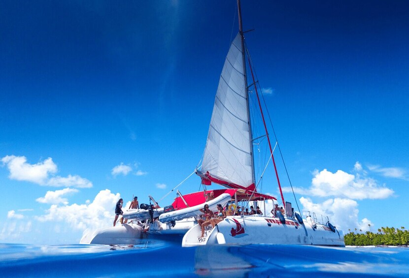 Picture 13 for Activity From Tahiti: Tetiaroa Island Tour by Sailing Catamaran 3