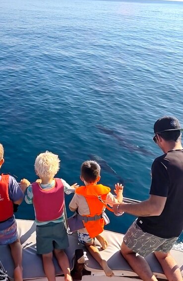 Picture 17 for Activity Estepona Boat Trip. Enjoy Sea and looking for Dolphins 4