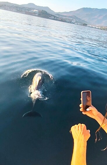 Picture 15 for Activity Estepona Boat Trip. Enjoy Sea and looking for Dolphins 2
