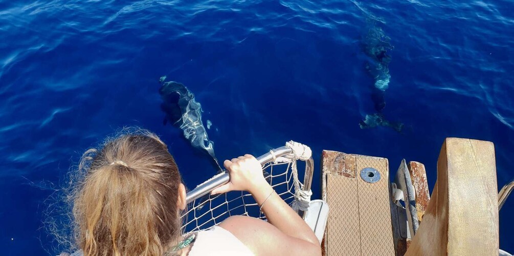 A person steering a boat with sharks visible in the water. 1