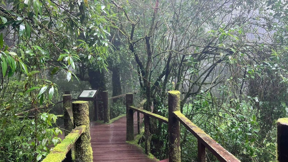 Picture 32 for Activity Chang Mai: Doi Inthanon Day Tour w/Waterfalls & Hilltribes 2