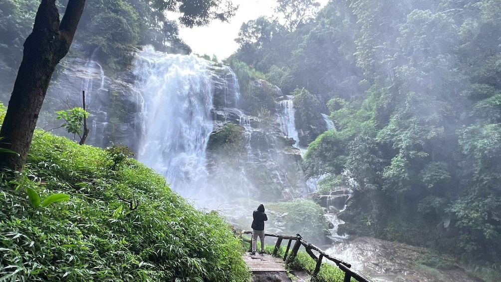 Picture 4 for Activity Chang Mai: Doi Inthanon Day Tour w/Waterfalls & Hilltribes 3