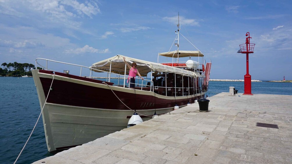 Picture 12 for Activity Poreč: Dolphin Spotting Cruise with Included Drinks 2