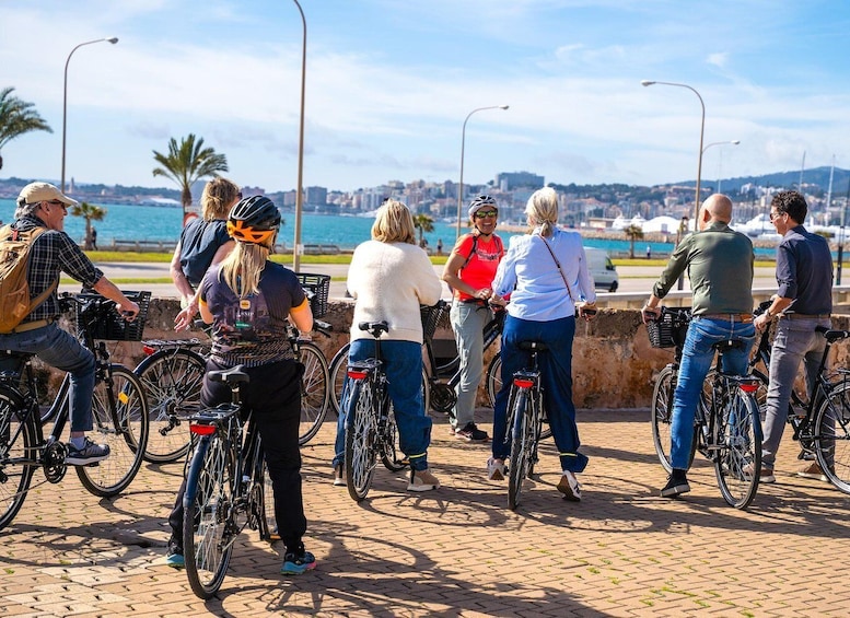 Picture 8 for Activity Palma de Mallorca: Guided Bicycle Tour with Tapas & a Drink 3