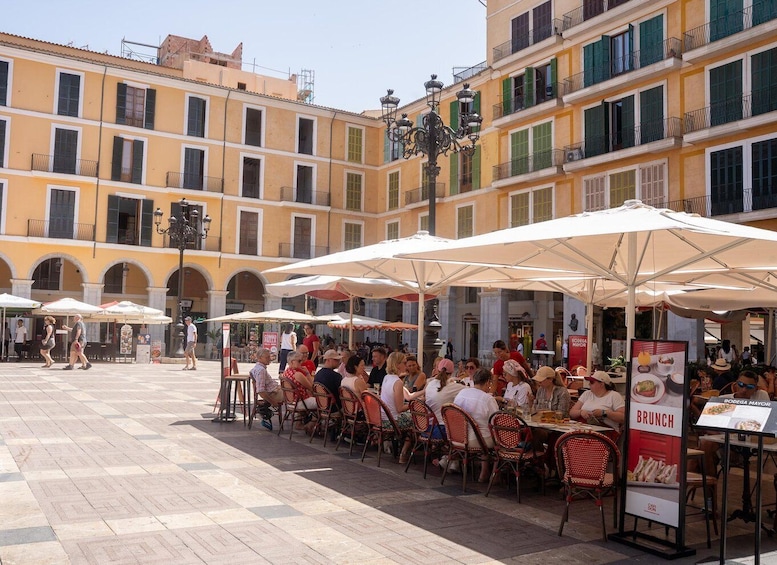 Picture 1 for Activity Palma de Mallorca: Guided Bicycle Tour with Tapas & a Drink 5