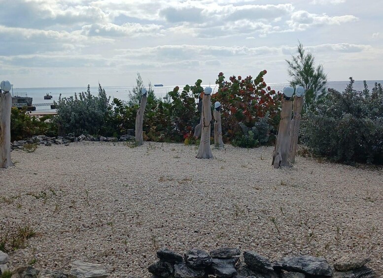 A gravel area with trees and a body of water in the background. 2