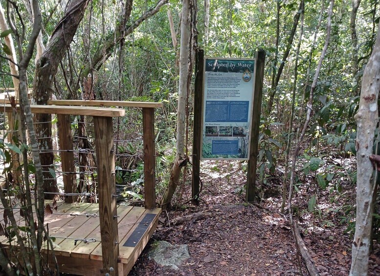 A wooden platform and a sign in a forested area. 1